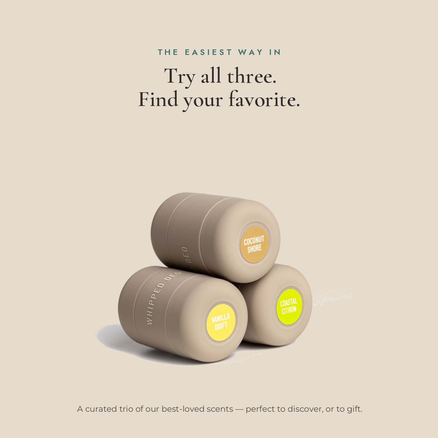 Roon Discovery Set 2-Pack — perfect for gifting